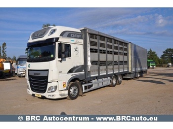 شاحنة نقل خيل DAF XF 460