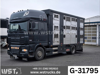 شاحنة نقل خيل DAF XF 510