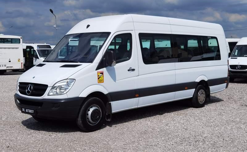 صغيرة, ميكروباص Mercedes-Benz Sprinter 2011 *Euro 5*: صور 17