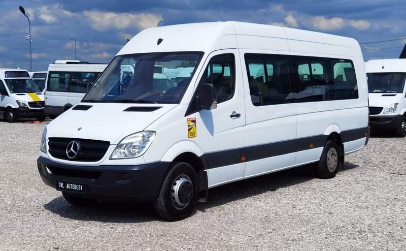 صغيرة, ميكروباص Mercedes-Benz Sprinter 2011 *Euro 5*: صور 13